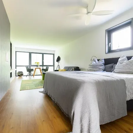 Andere - Gaesteapartment Apartamento Kippenheim